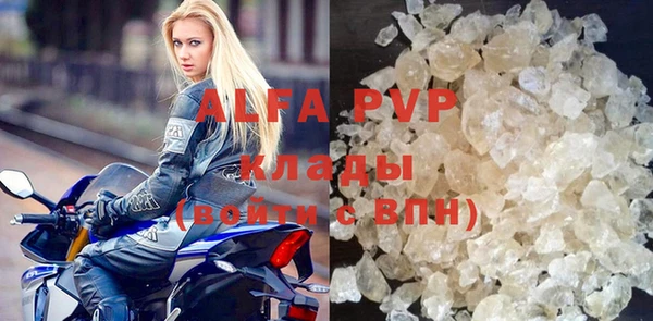 прущие грибы Арсеньев